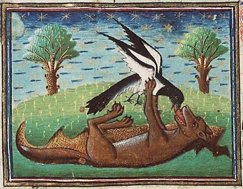 A fox and a magpie make out on the medieval internet.