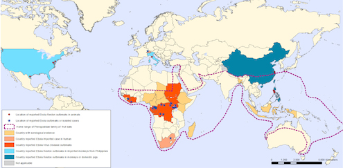 Where ebola is and might be later, according to the World Health Organization