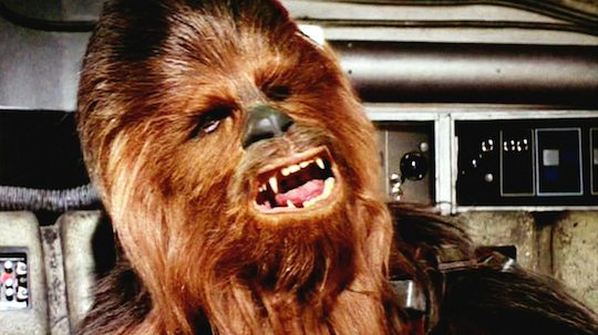 We have fired the intern responsible for entering "Festival of the Wookie" into the calendar.